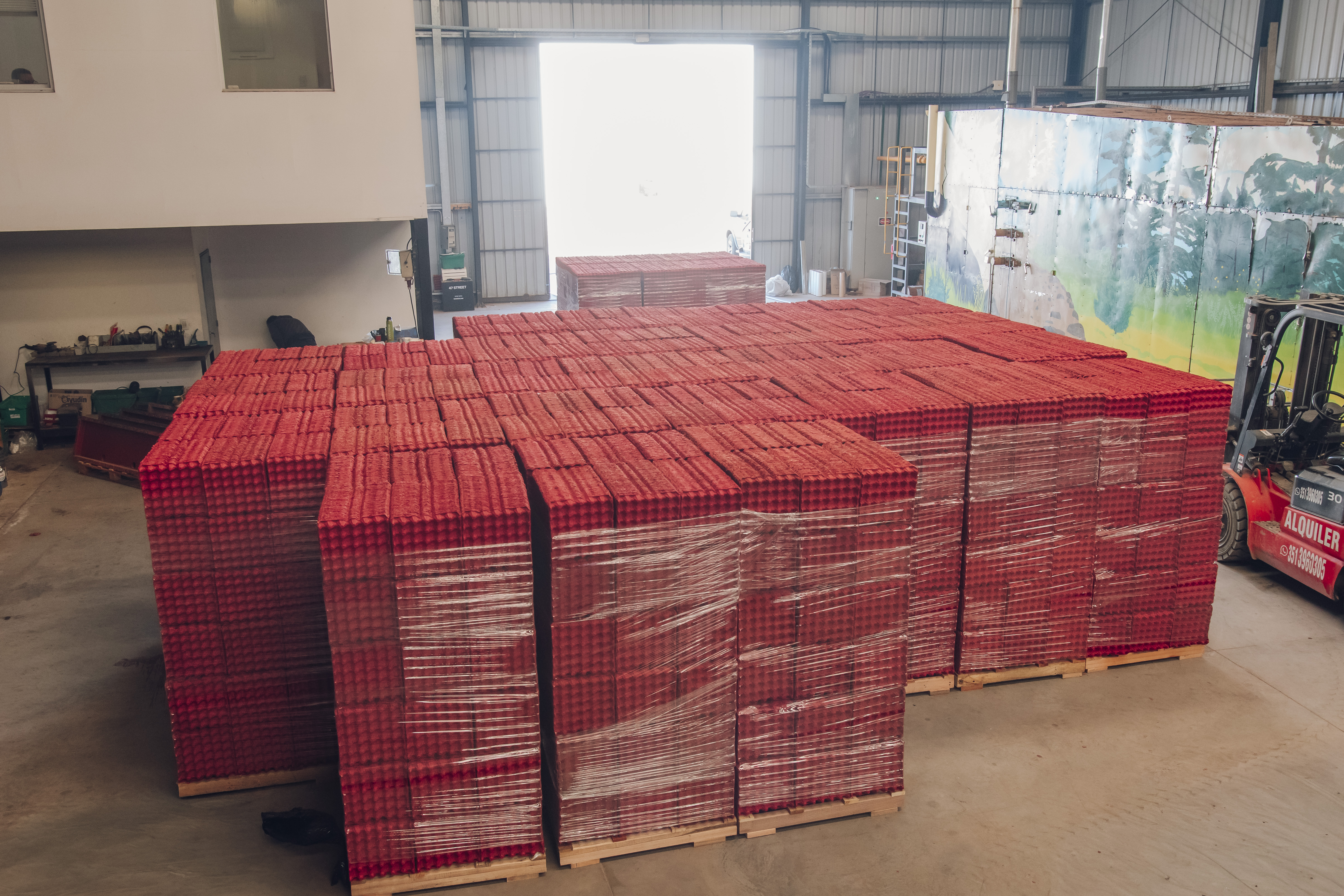 Depósito de Moldeados Córdoba con pallets de maples listos para despacho a granjas y distribuidores