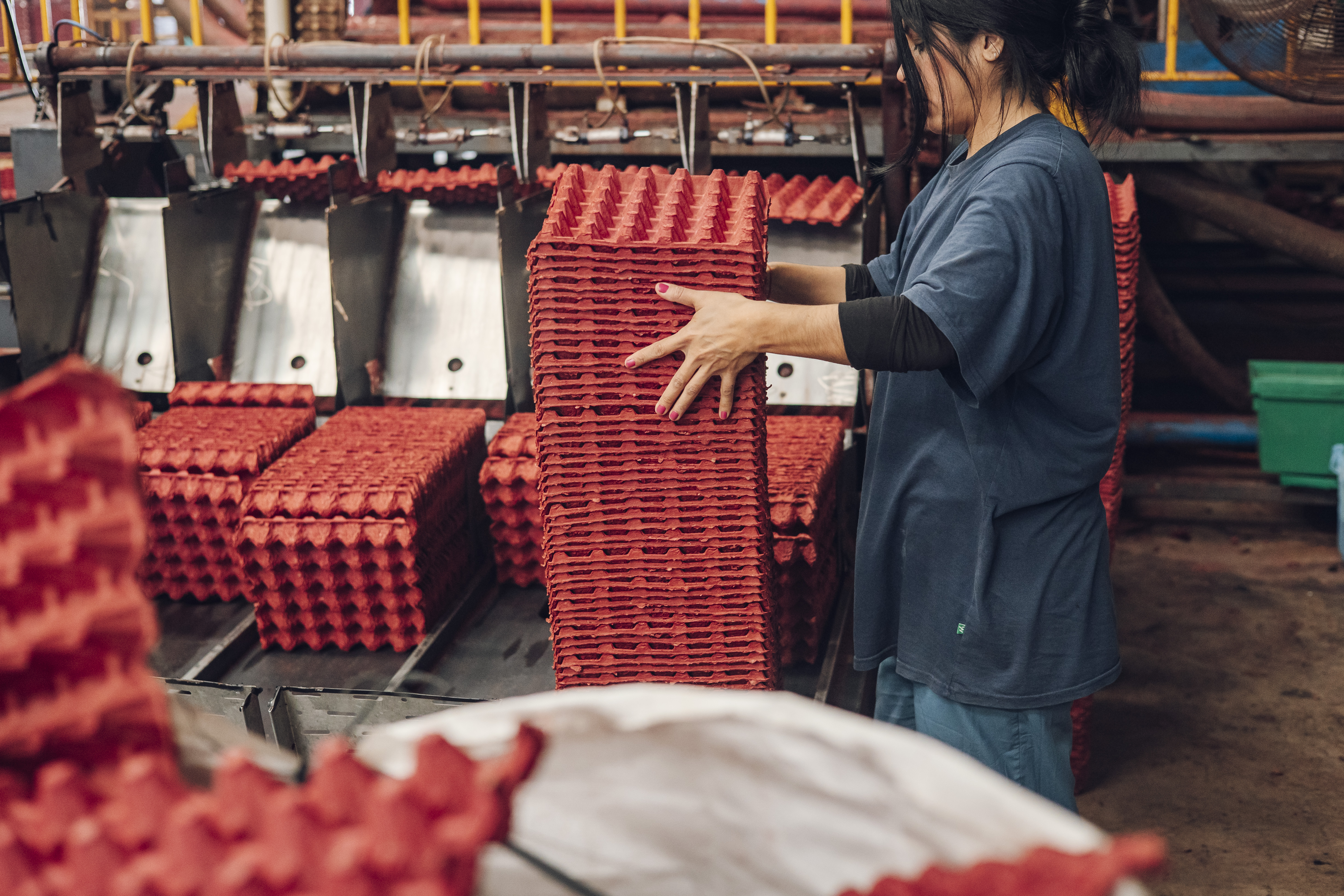 Trabajadora de Moldeados Córdoba controlando la pila de maples en la línea de producción